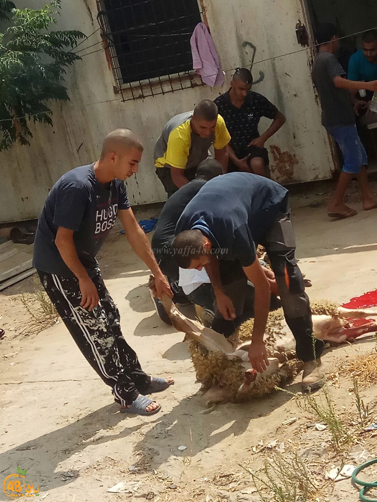 dab7 ada7y wu3ed (22).jpg